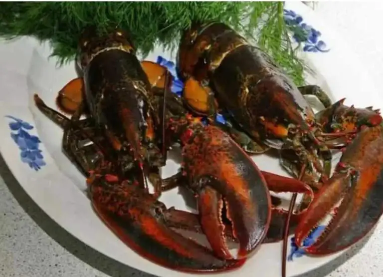 9 Disadvantages of Eating Undercooked Lobster