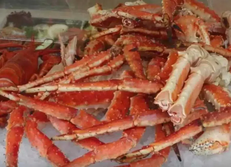 How To Freeze Lobster Meat Explained