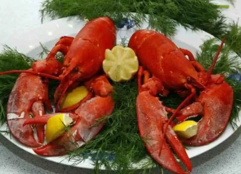 Why Are Lobsters So Good (9 Things To Know)