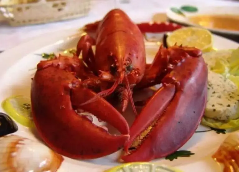 Why Do Lobsters Change Color When Cooked