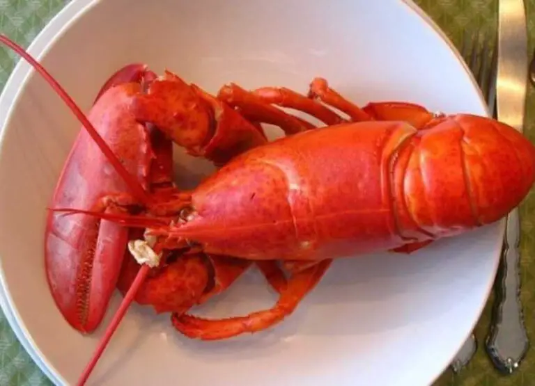 How To Know Lobster Is Bad [Answered]