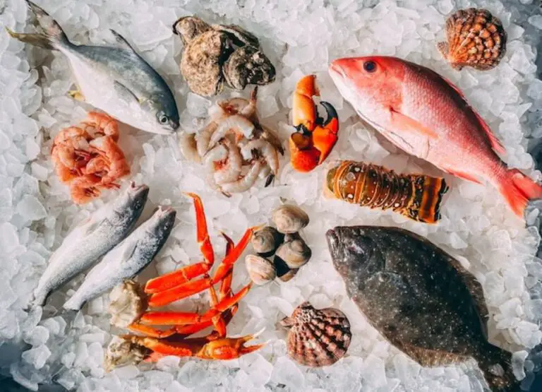 10 Common Seafood To Avoid When Pregnant