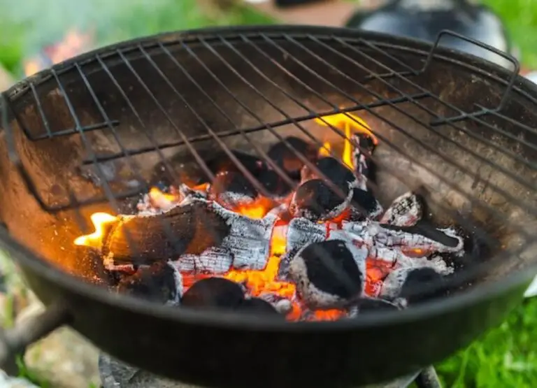 What Do You Need For A Charcoal Grill [15 Things]