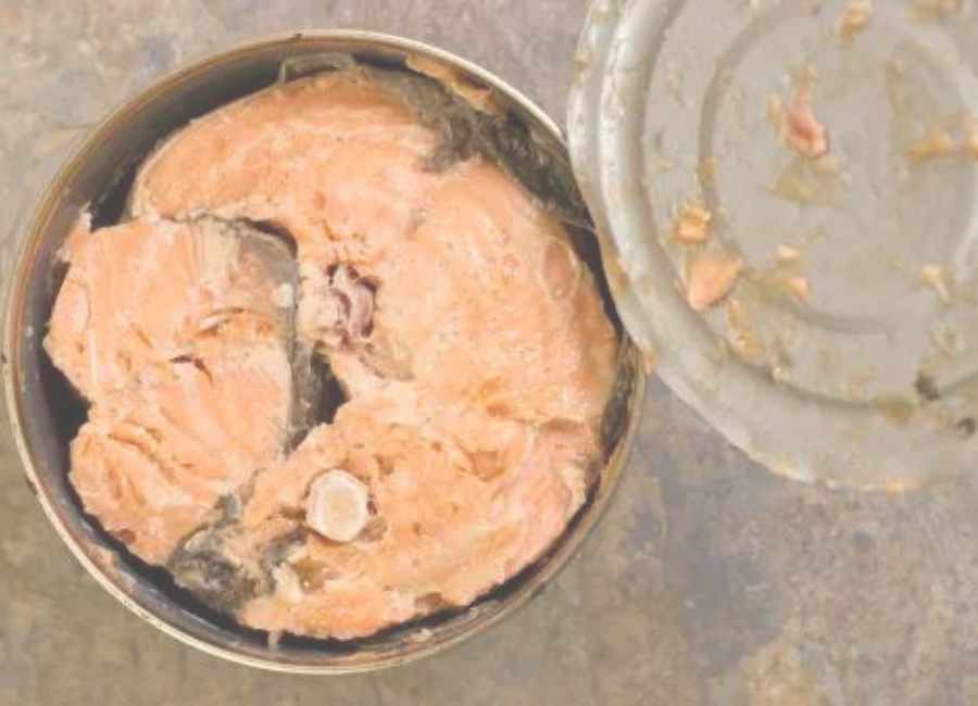 Tips for Proper Storage of Opened Canned Salmon