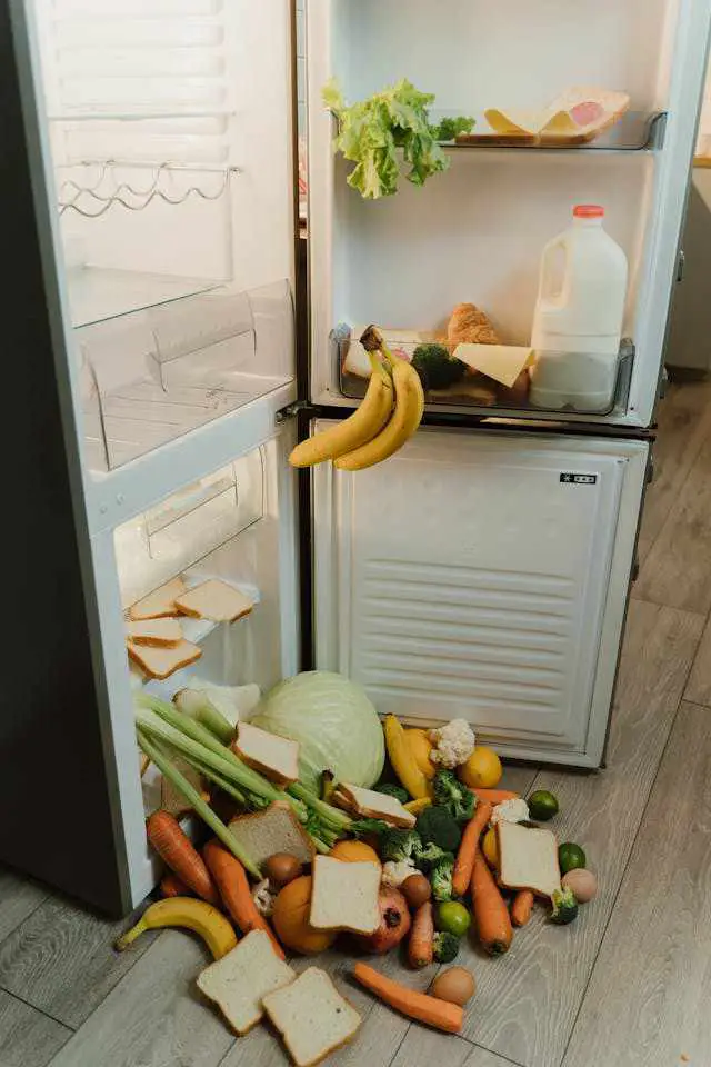 Organizing Your Refrigerator